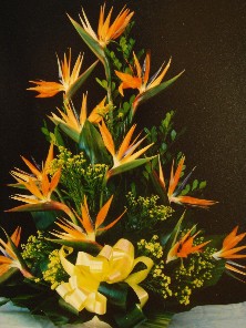 arreglo con ave de paraiso $350